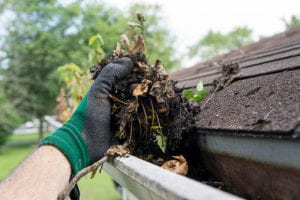 South Jersey gutter cleaning 