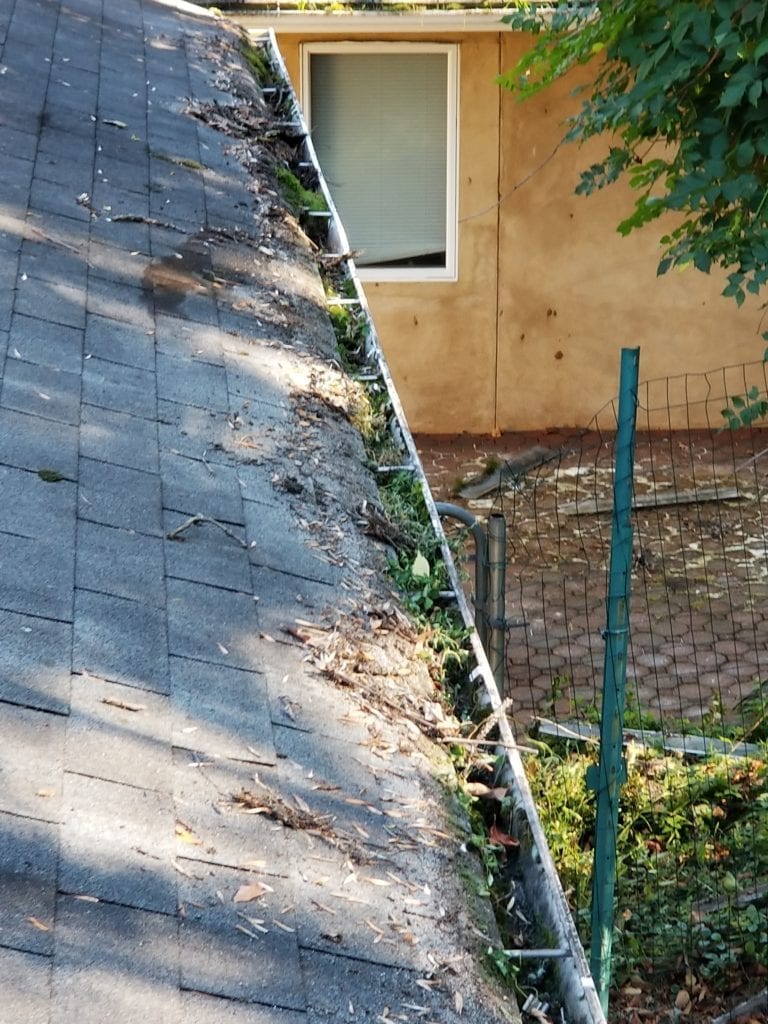 Gutter Cleaning